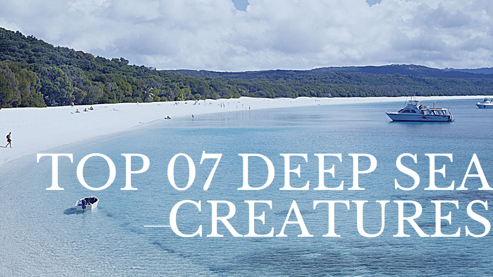 Top 07 Deep Sea Creatures